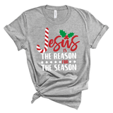 Jesus is the Reason Shirt